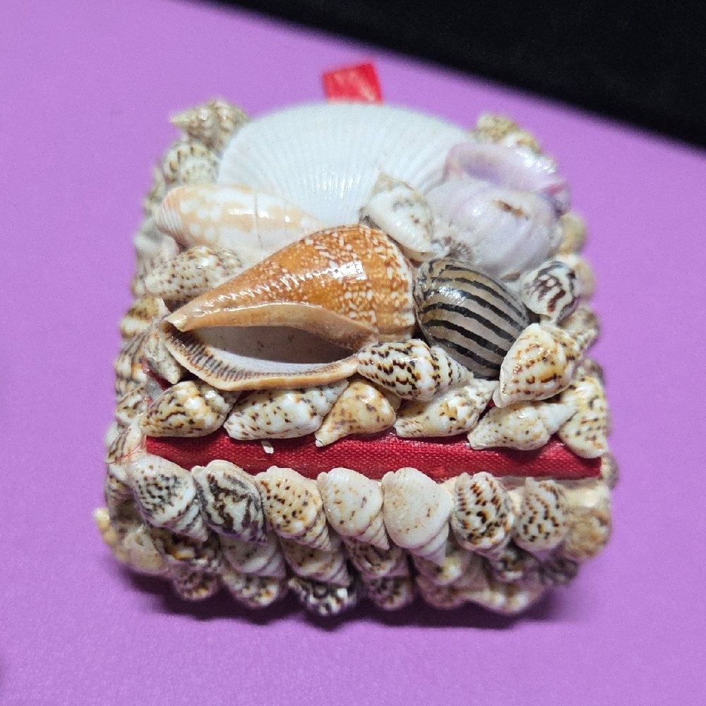 Shell-Embellished Jewelry Box with Red Interior - Picture 4 of 4